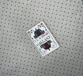 gallant by v e schwab 2