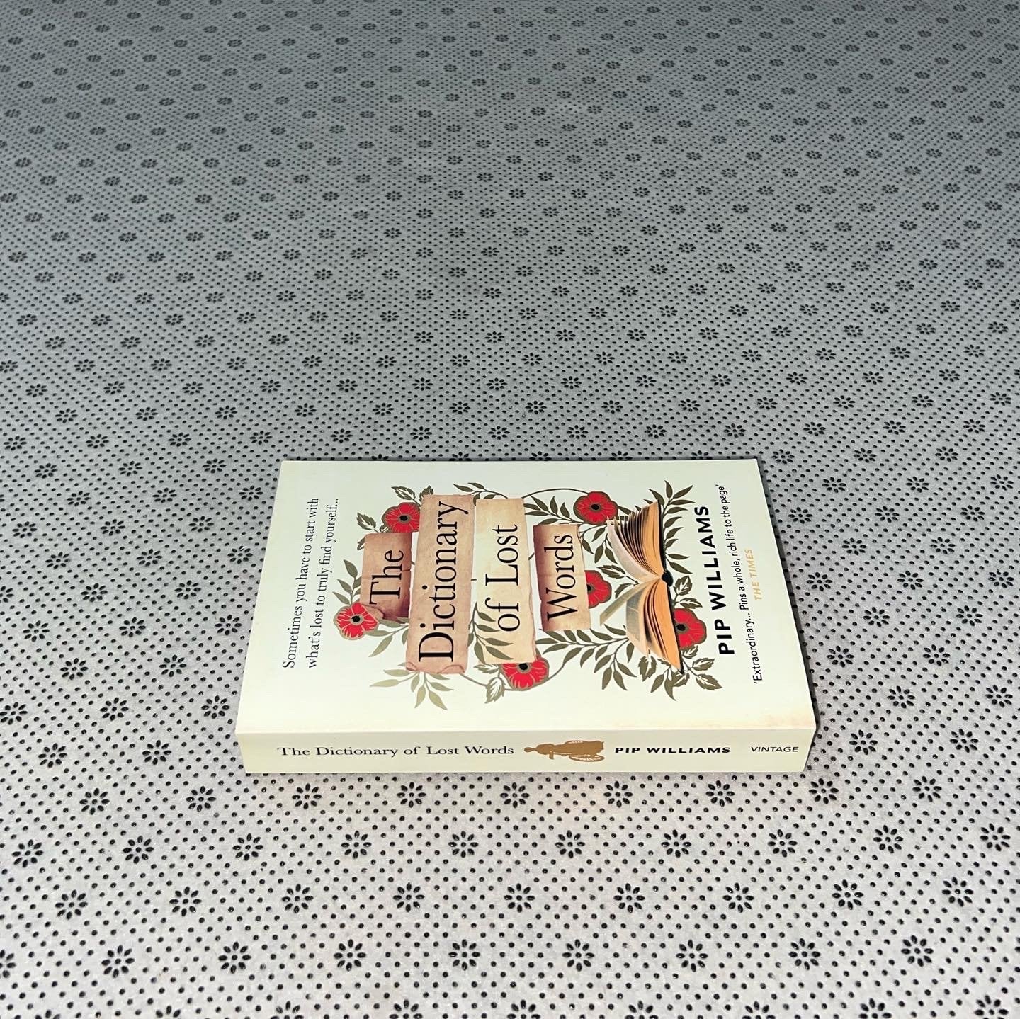 the dictionary of lost words by pip williams