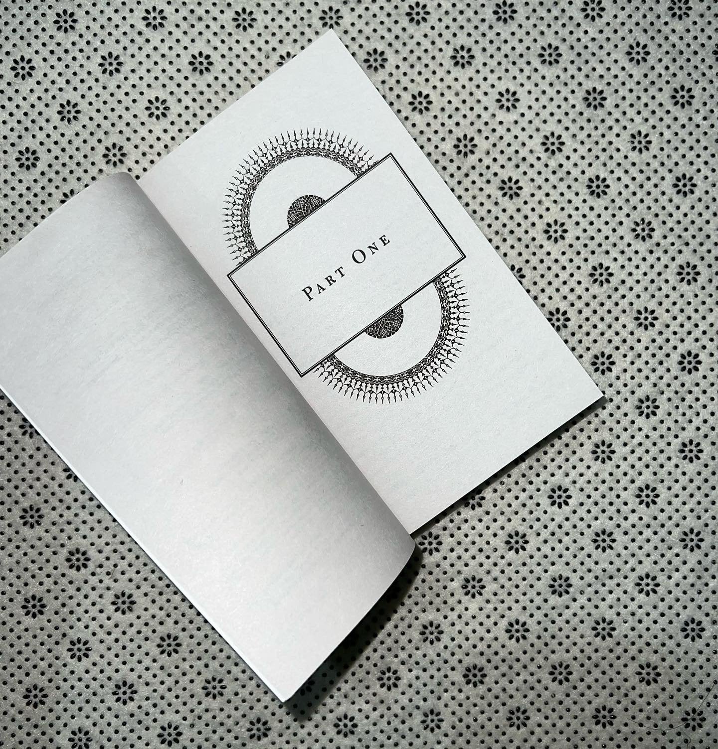 a thousand splendid suns pocket sized edition by khaled hosseini