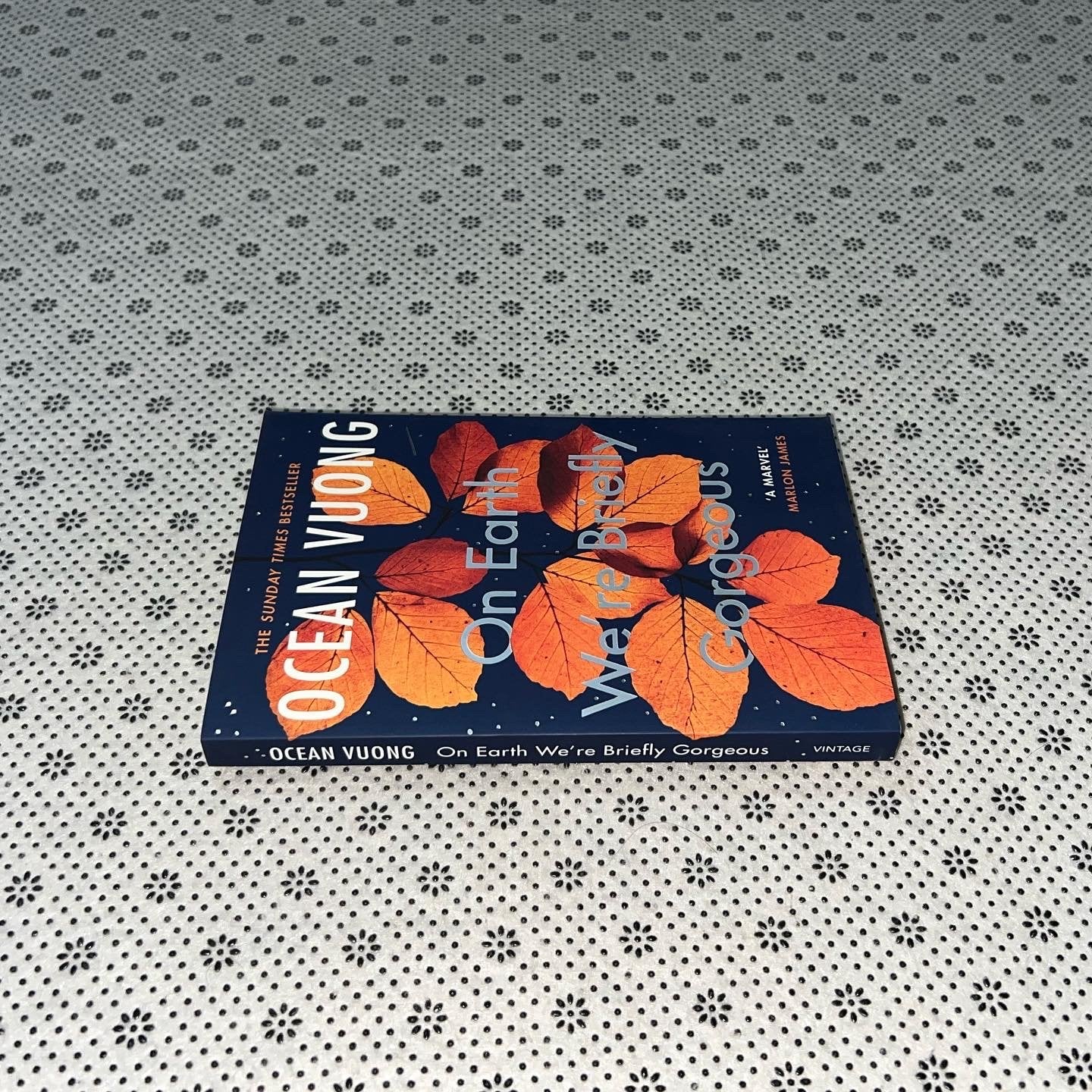 on earth were briefly gorgeous the sunday times bestseller by ocean vuong
