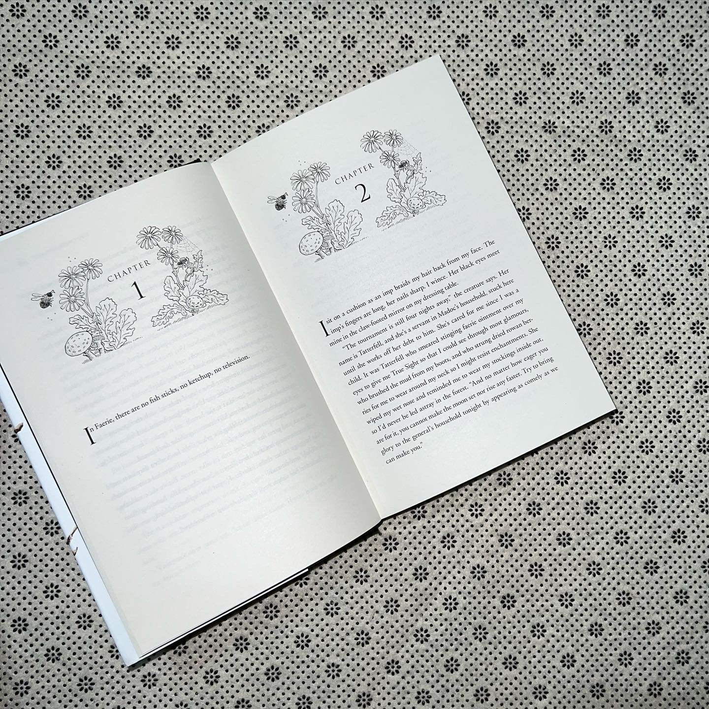 the cruel prince the folk of the air seriesbook 1 by holly black