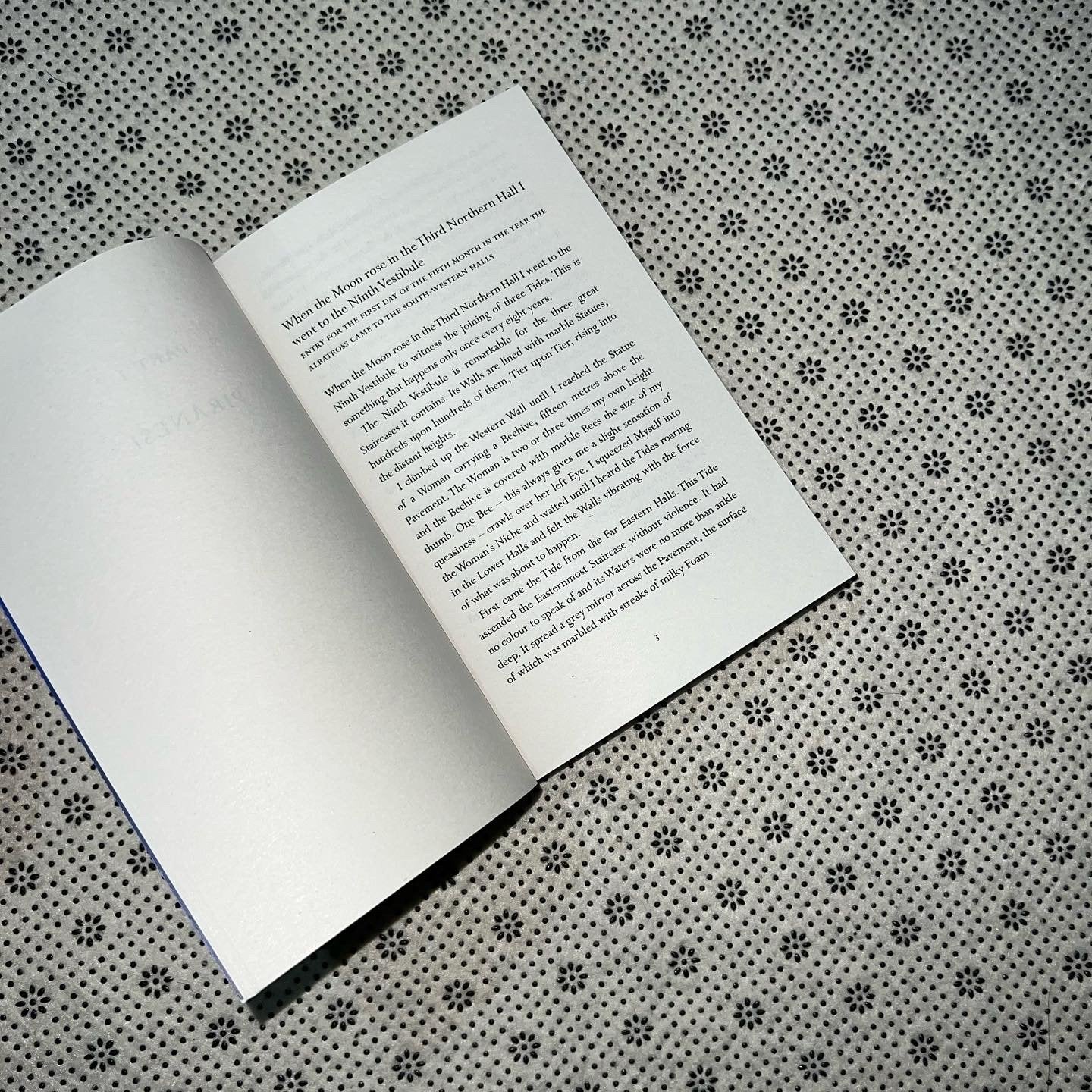 piranesi by susanna clarke