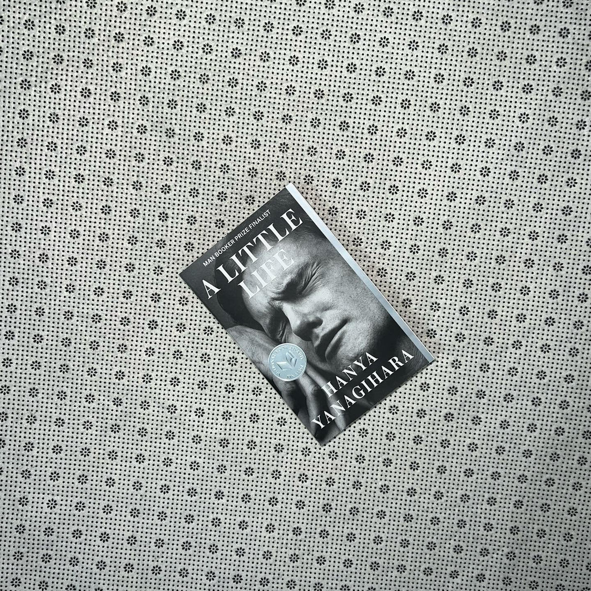a little life by hanya yanagihara 1