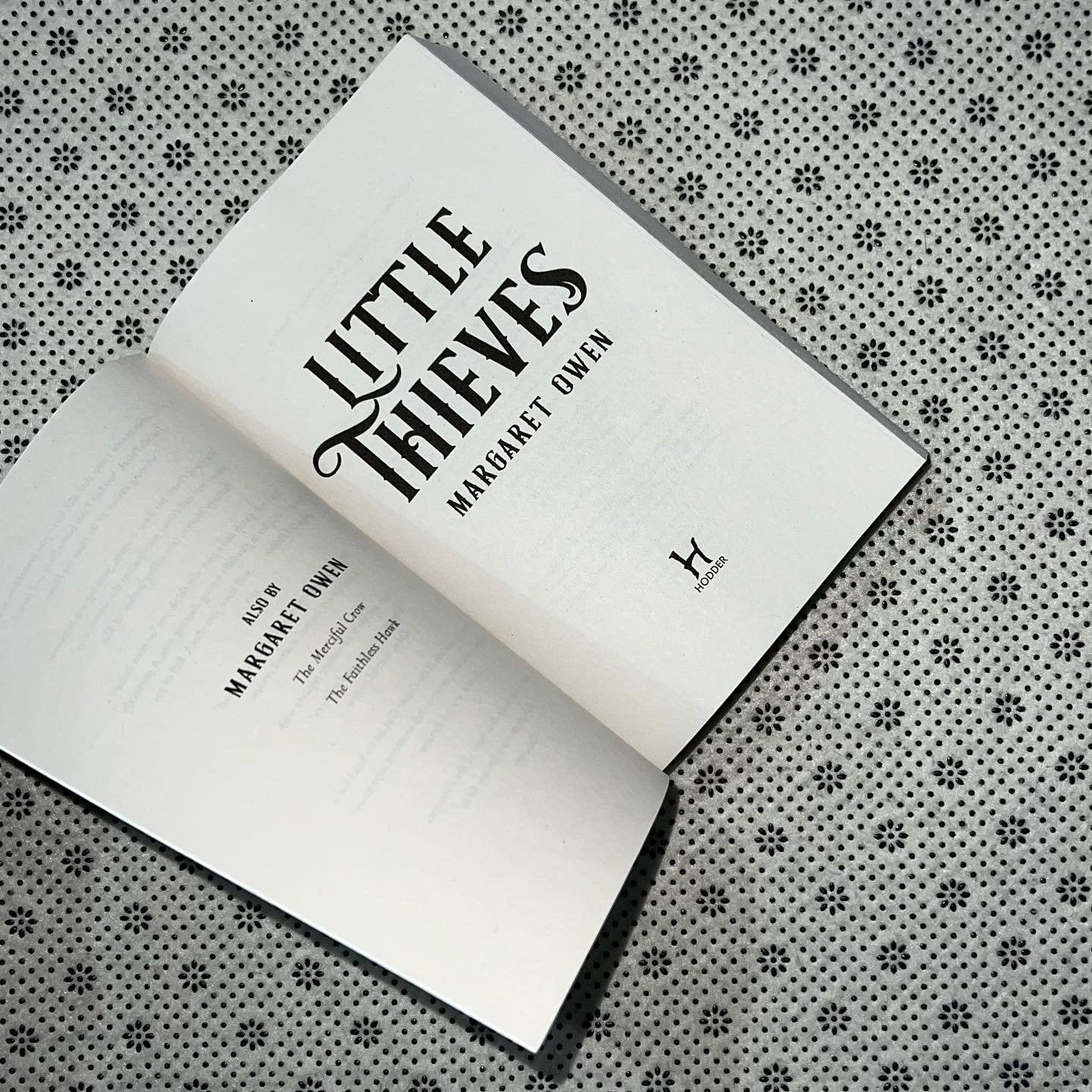 little thieves little thieves series book 1 by margaret owen