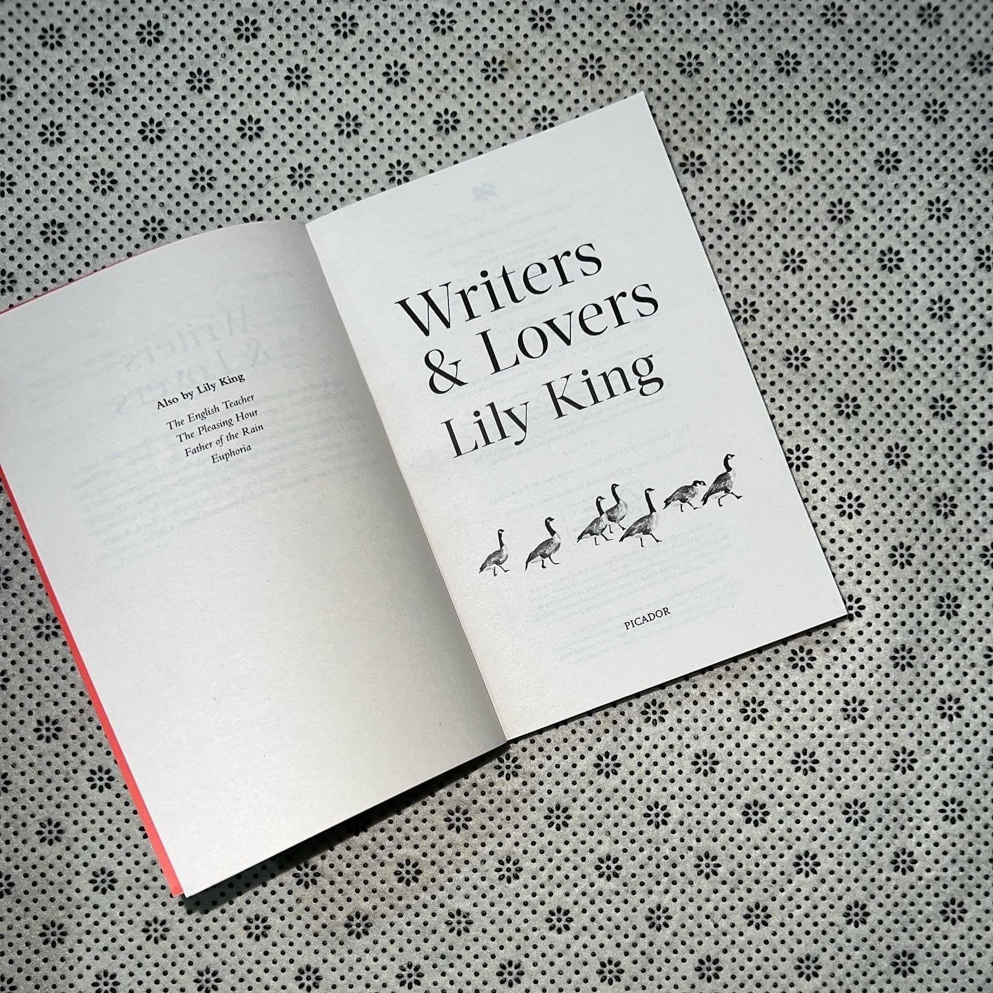 writers lovers by lily king
