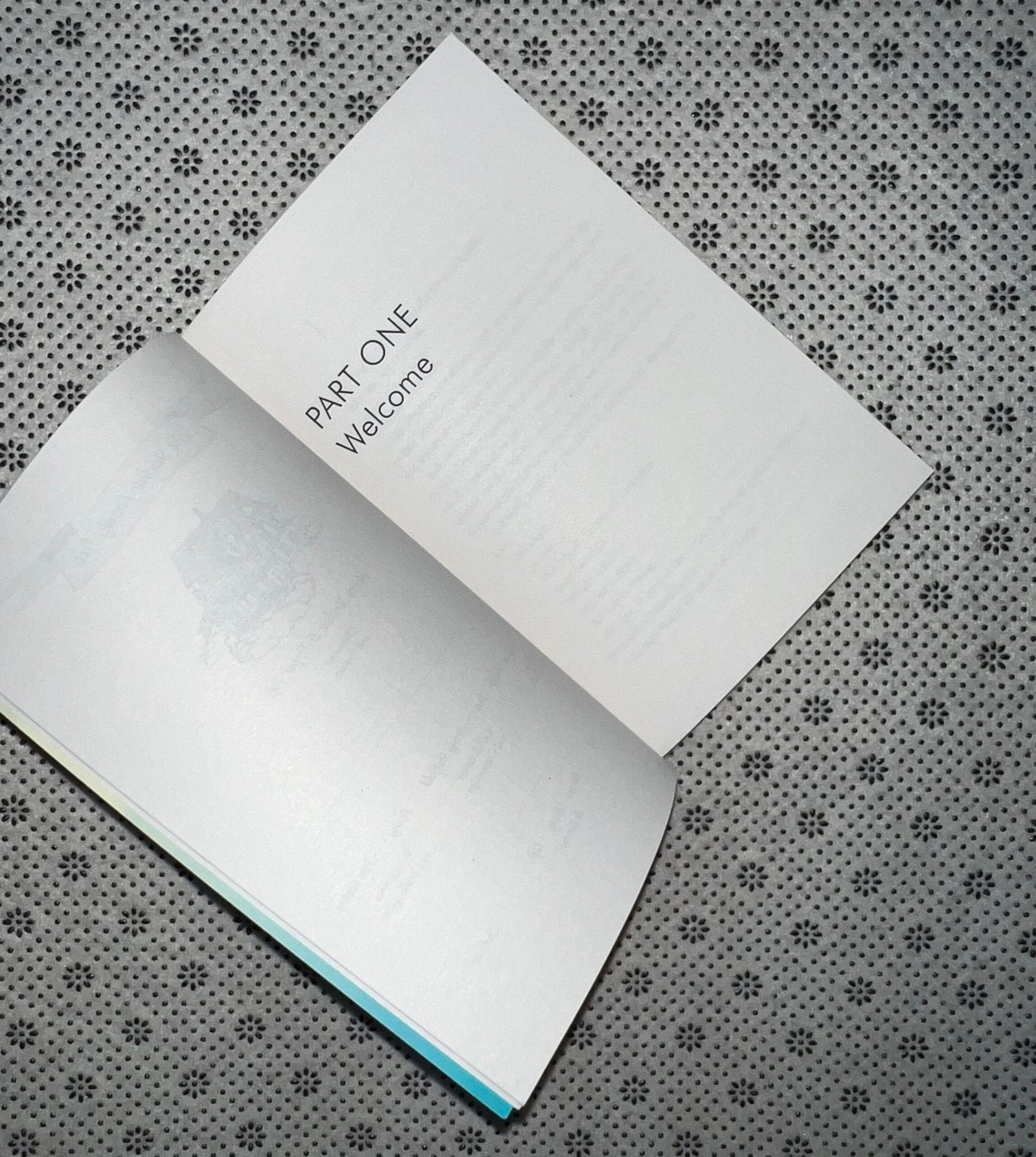 we were liars by e lockhart