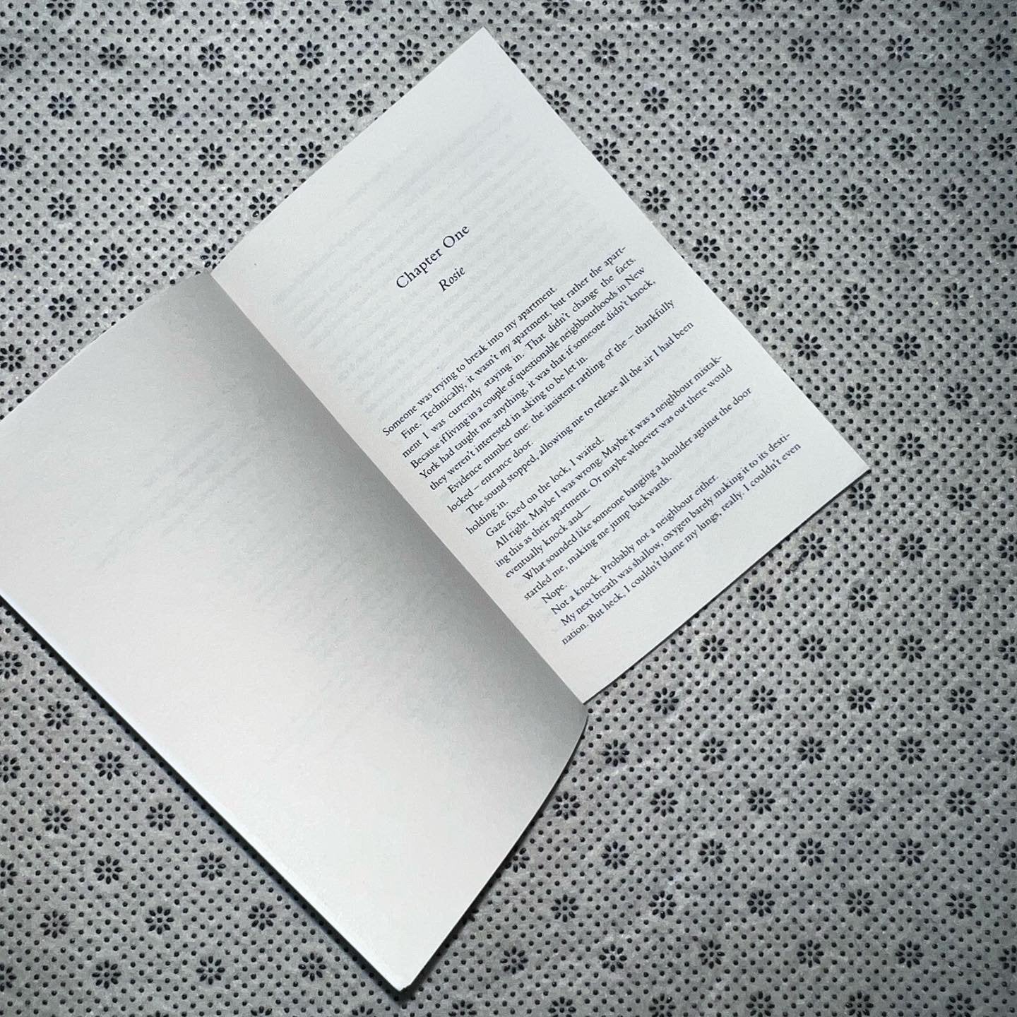 the american roommate experiment by elena armas