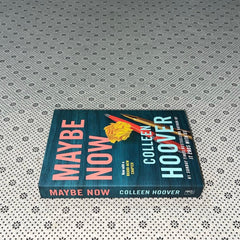 maybe now maybe someday series book 3 by colleen hoover 1