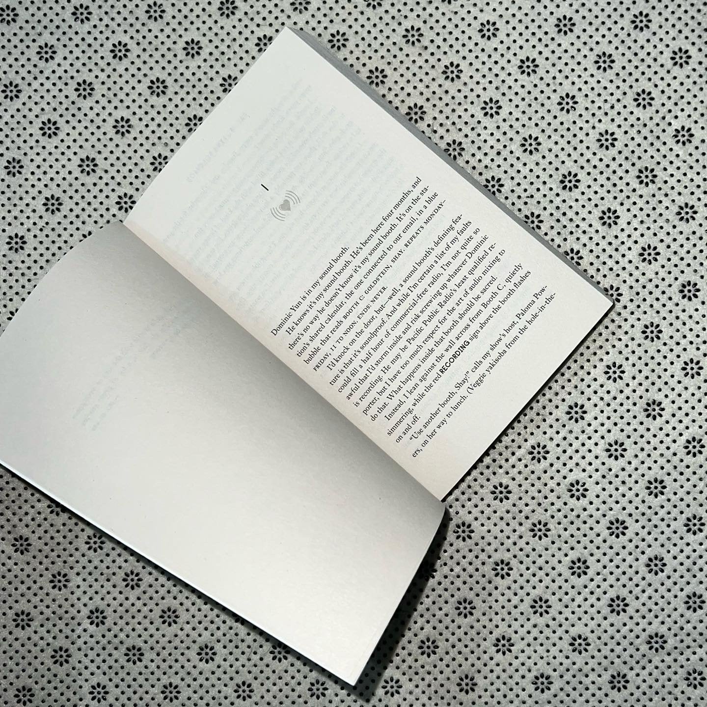 the ex talk by rachel lynn solomon