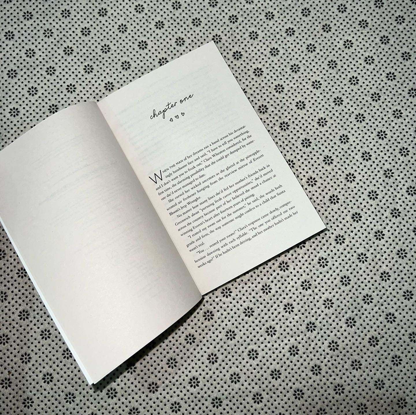 the roommate by rosie danan