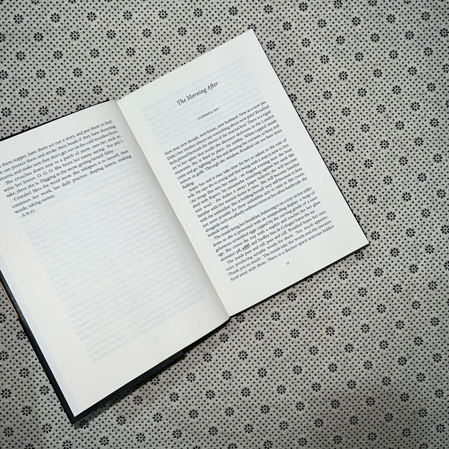 the whalebone theatre by joanna quinn