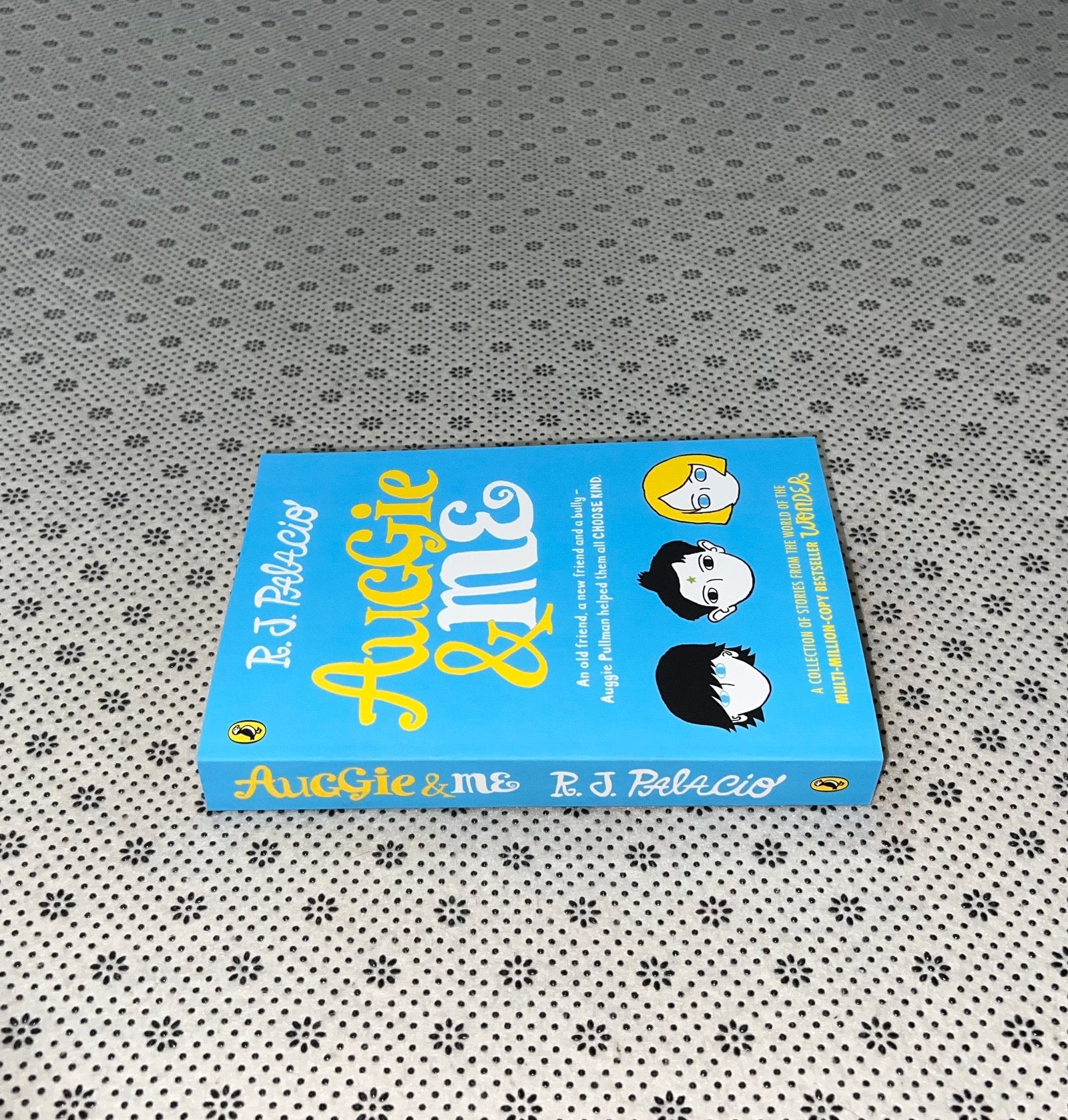 auggie and me by r j palacio