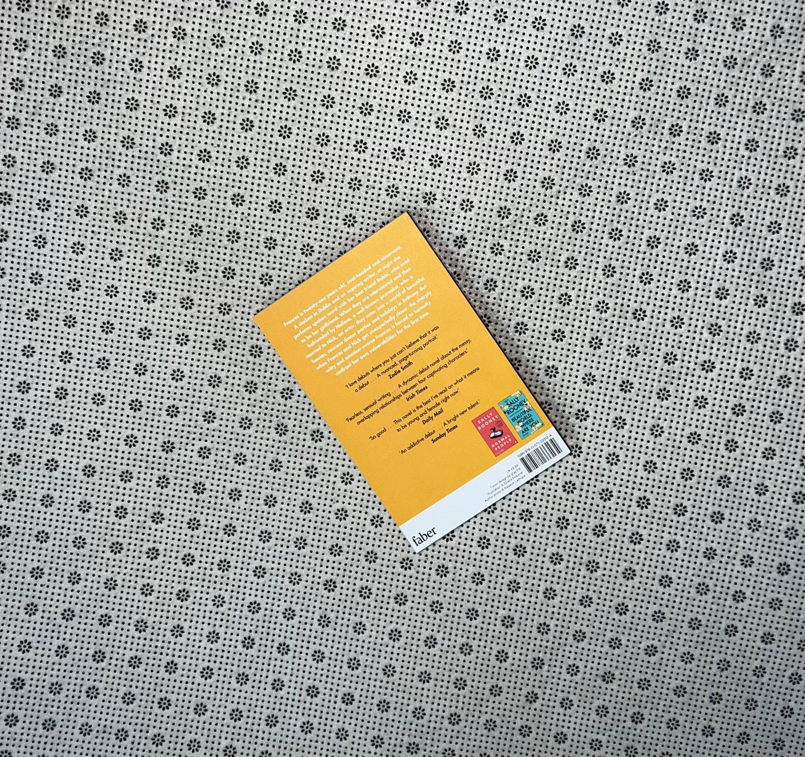 conversations with friends by sally rooney