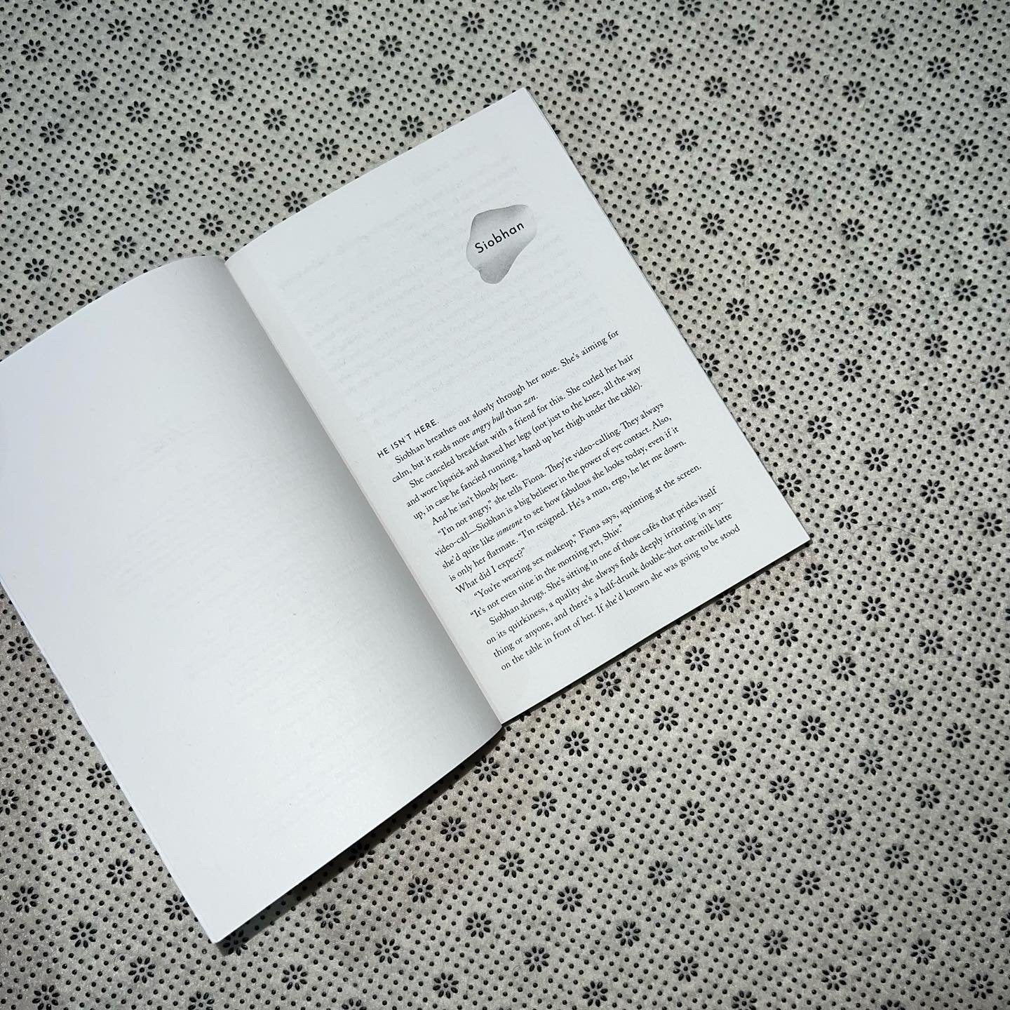 the no show by beth oleary