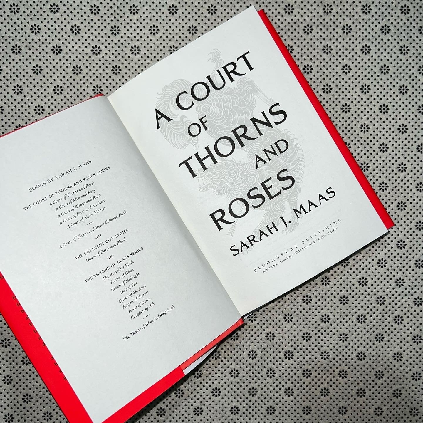 a court of thorns and roses court of thorns and roses series book 1 by sarah j mass