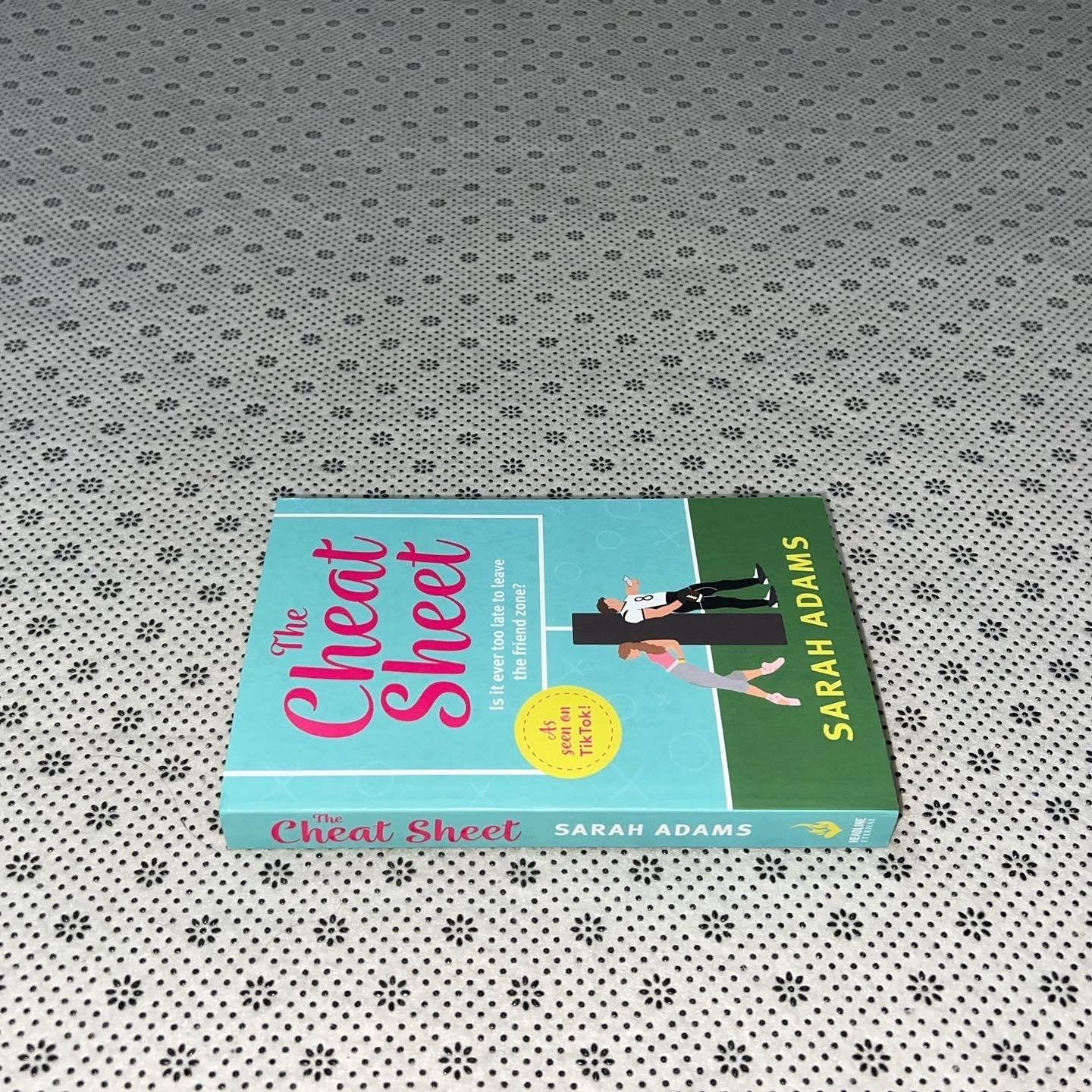 the cheat sheet by sarah adams