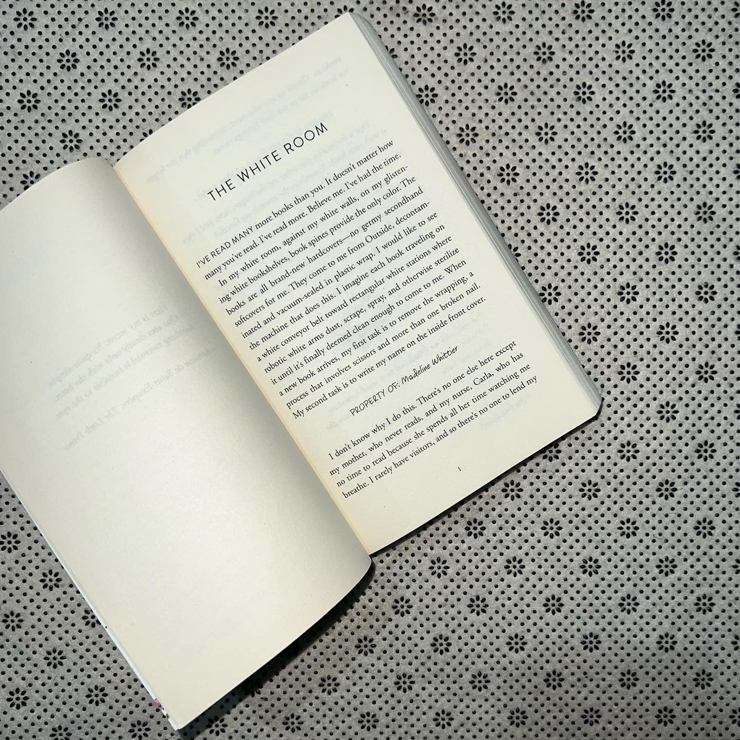 everything everything by nicola yoon