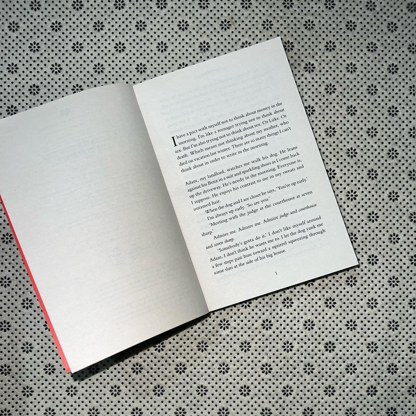 writers lovers by lily king