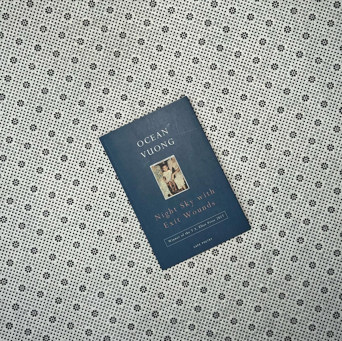 night sky with exit wounds by ocean vuong