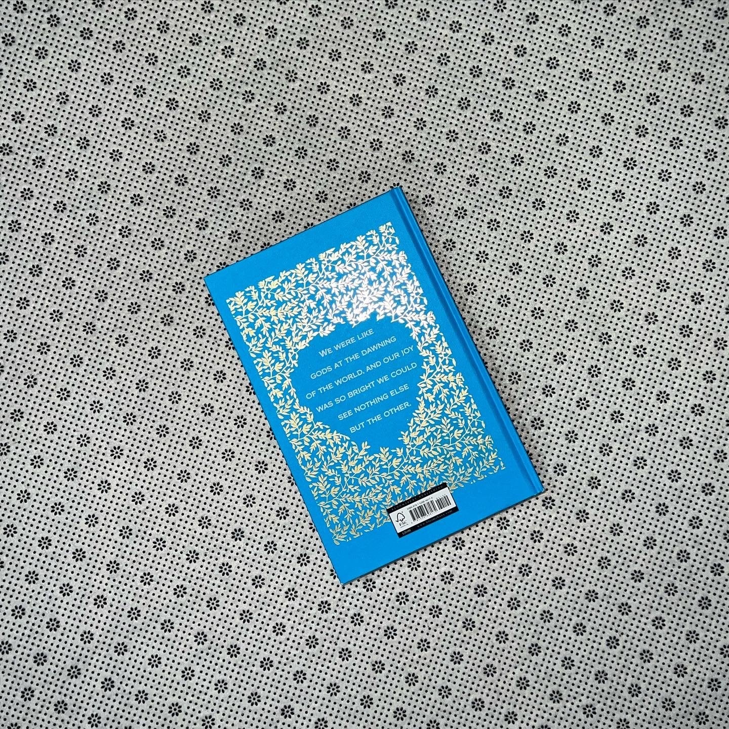 the song of achilles special anniversary edition by madeline miller