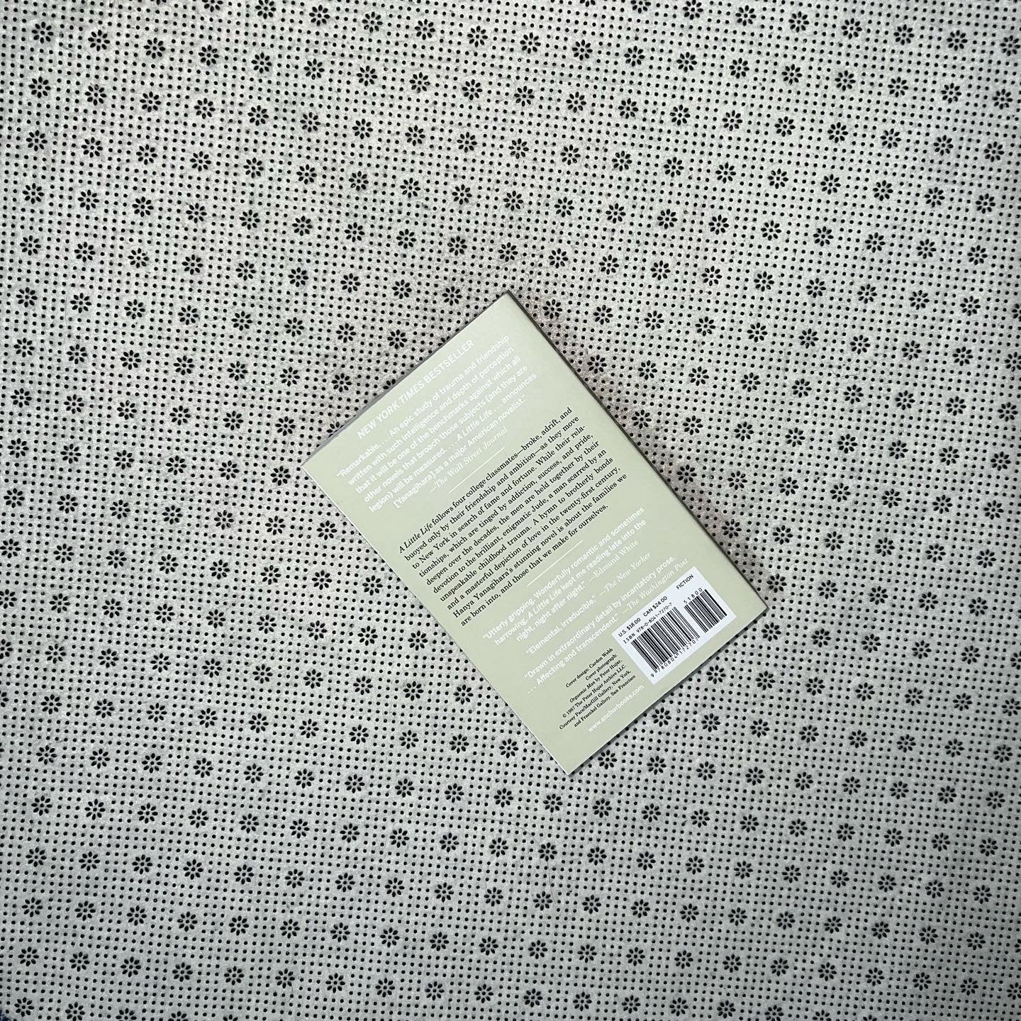 a little life by hanya yanagihara 1