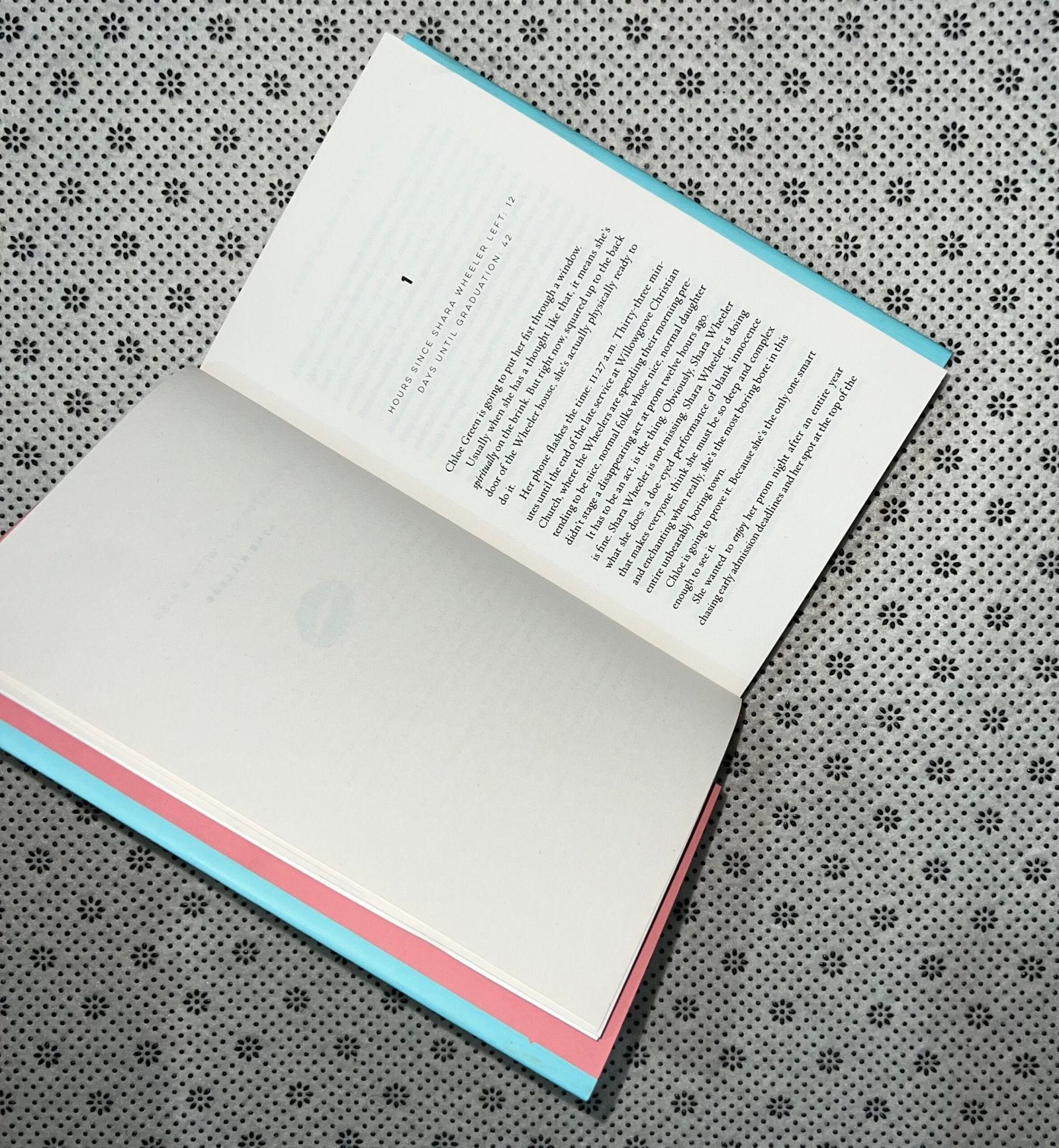 i kissed shara wheeler dust jacket edition by casey mcquiston