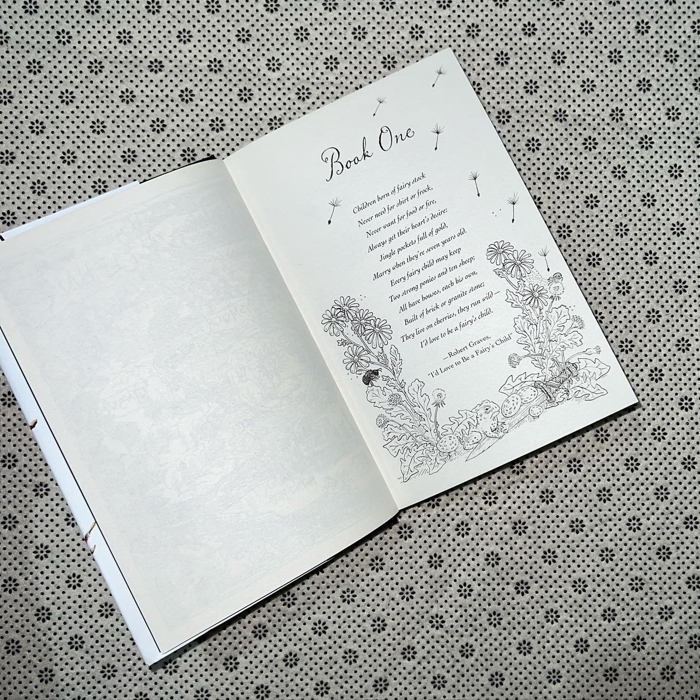 the cruel prince the folk of the air seriesbook 1 by holly black