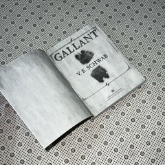 gallant by v e schwab