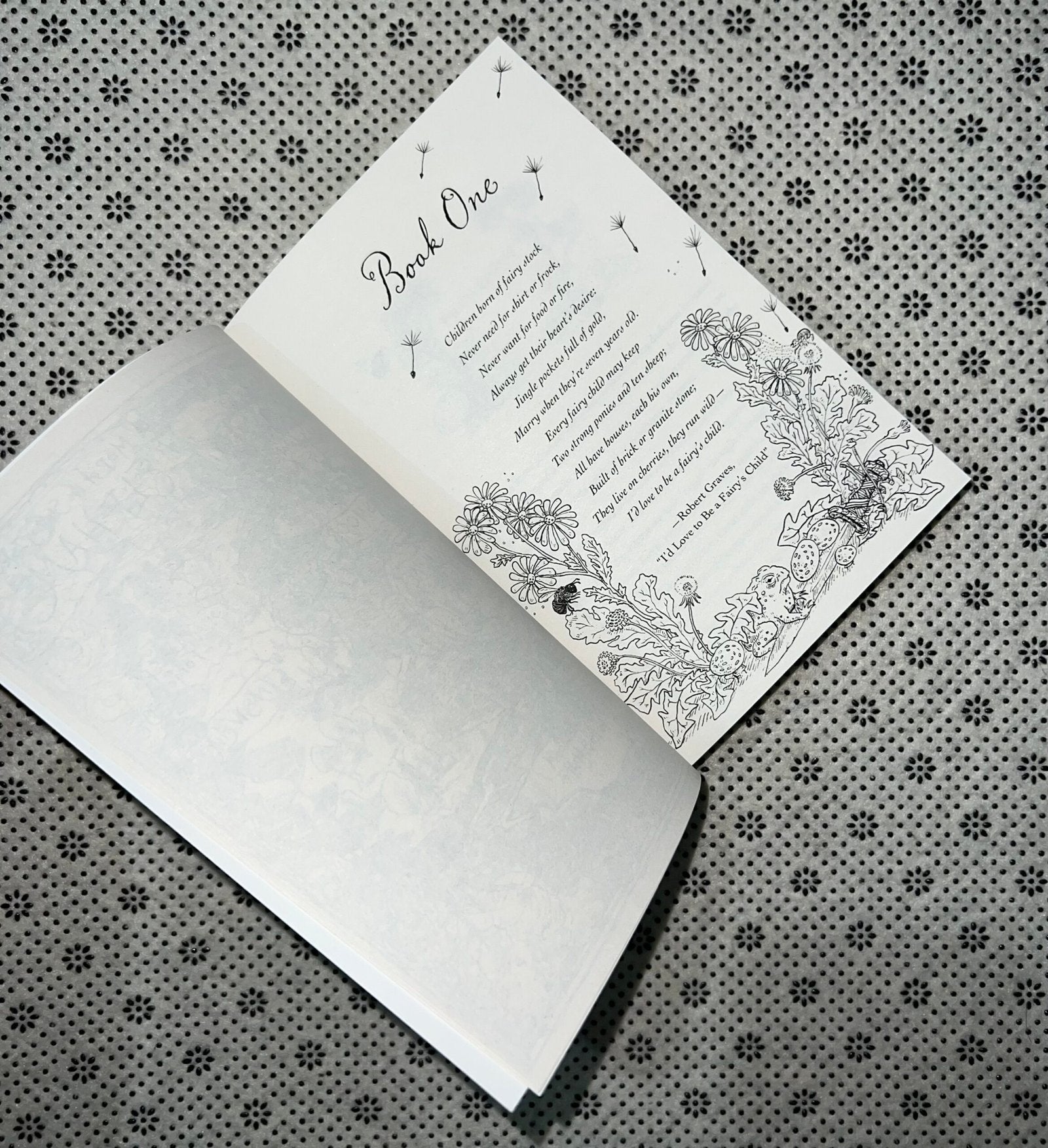 the cruel prince the folk of the air seriesbook 1 new york times bestseller by holly black