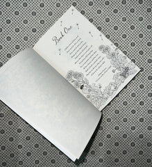 the cruel prince the folk of the air seriesbook 1 new york times bestseller by holly black