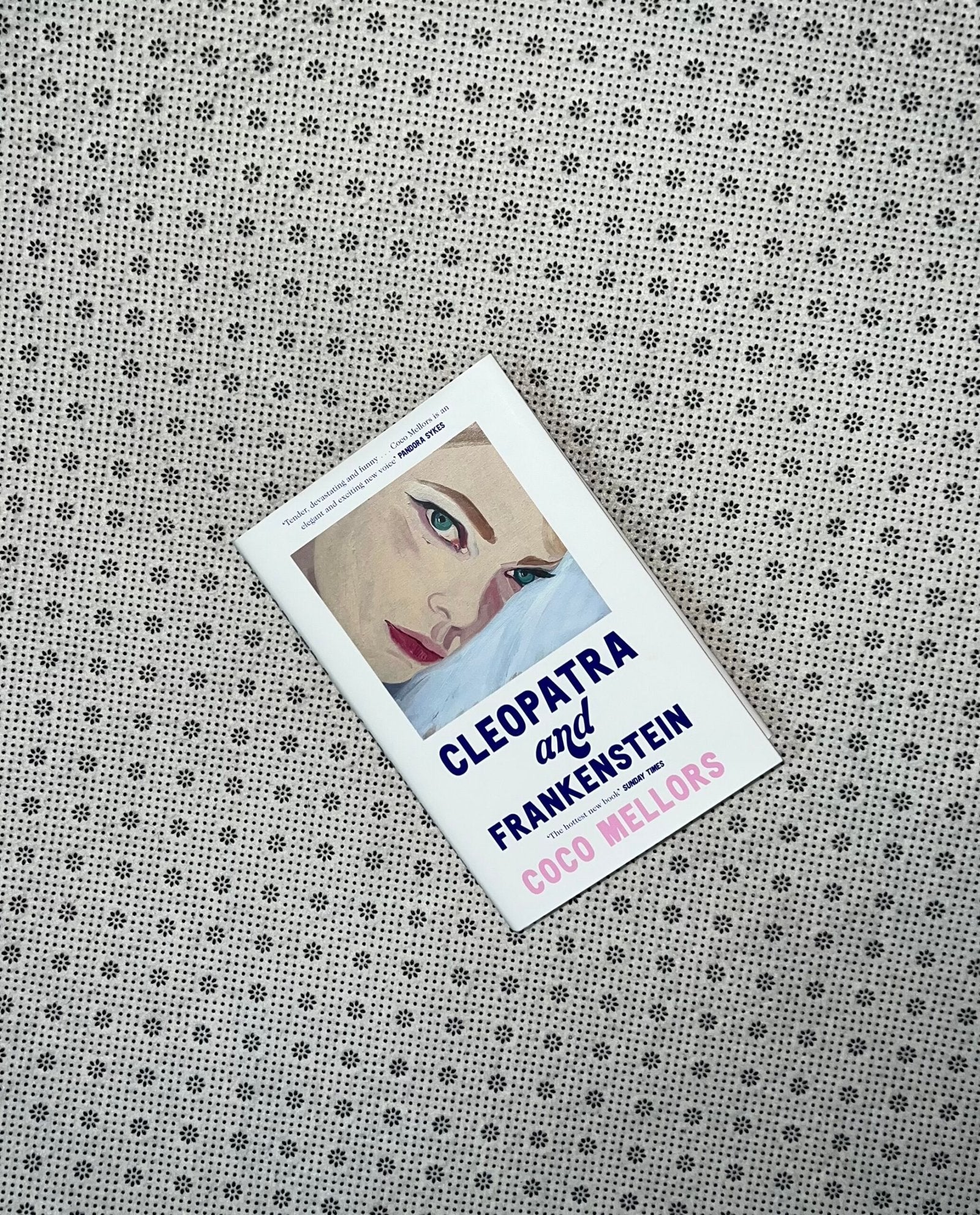 cleopatra and frankenstein dust jacket edition by coco mellors