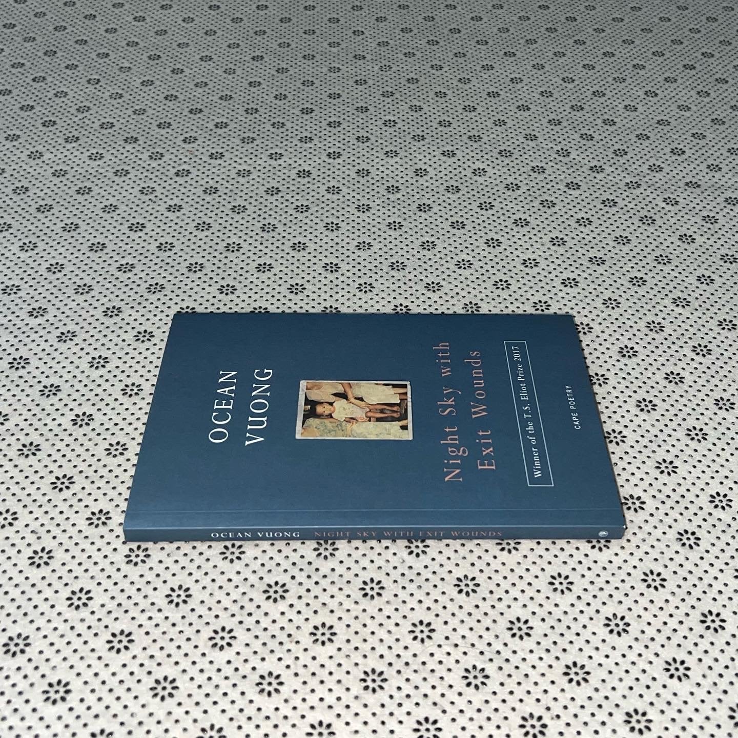night sky with exit wounds by ocean vuong