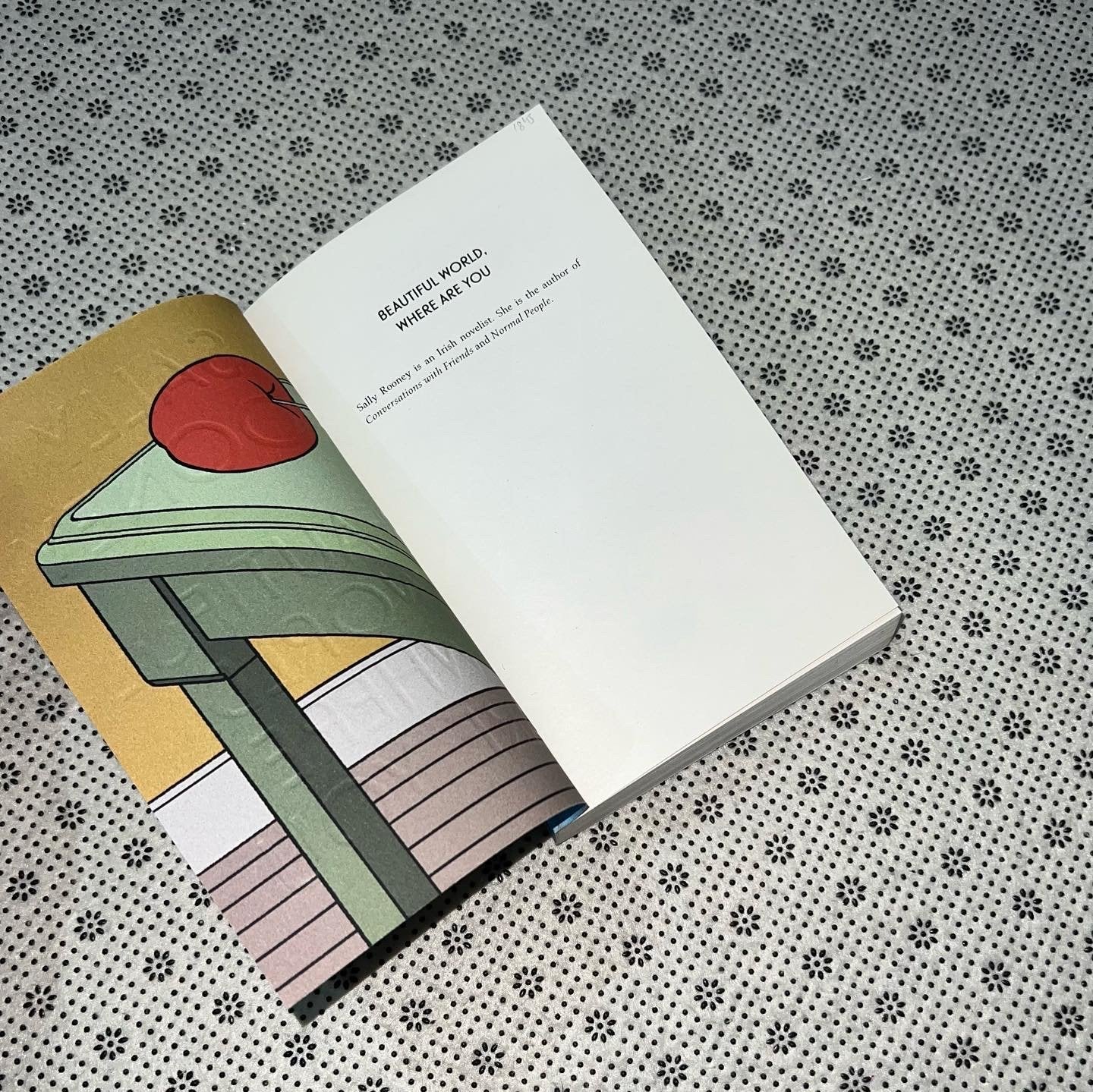 beautiful world where are you trade paperback edition by sally rooney