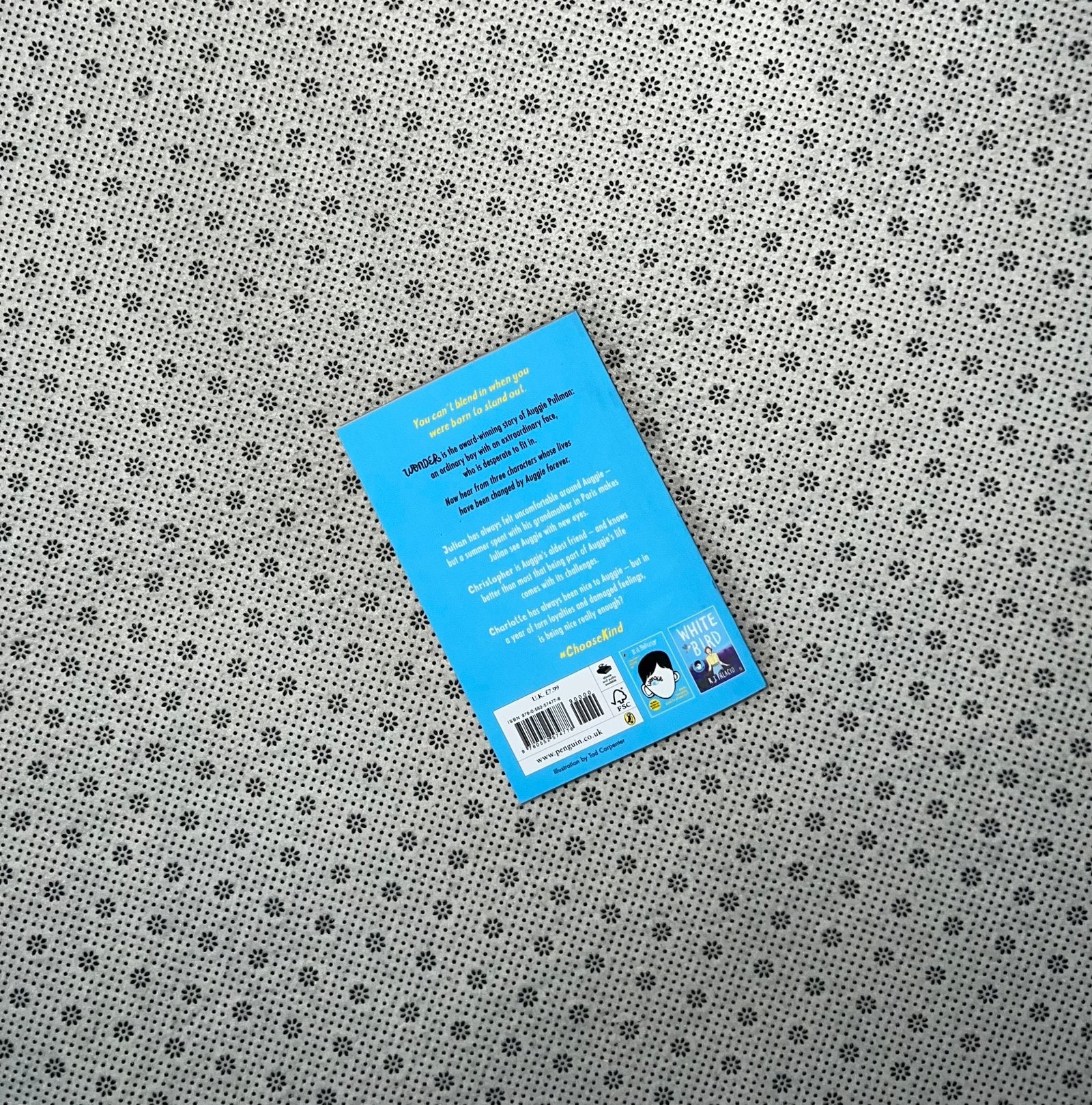 auggie and me by r j palacio