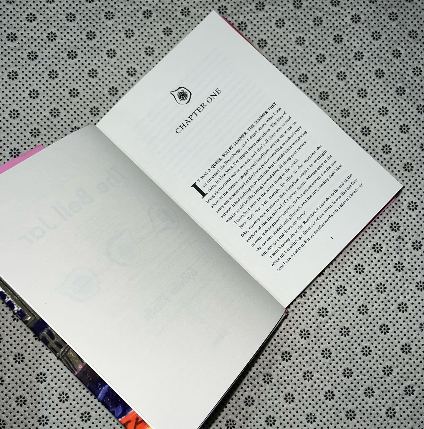 the bell jar illustrated edition by sylvia plath