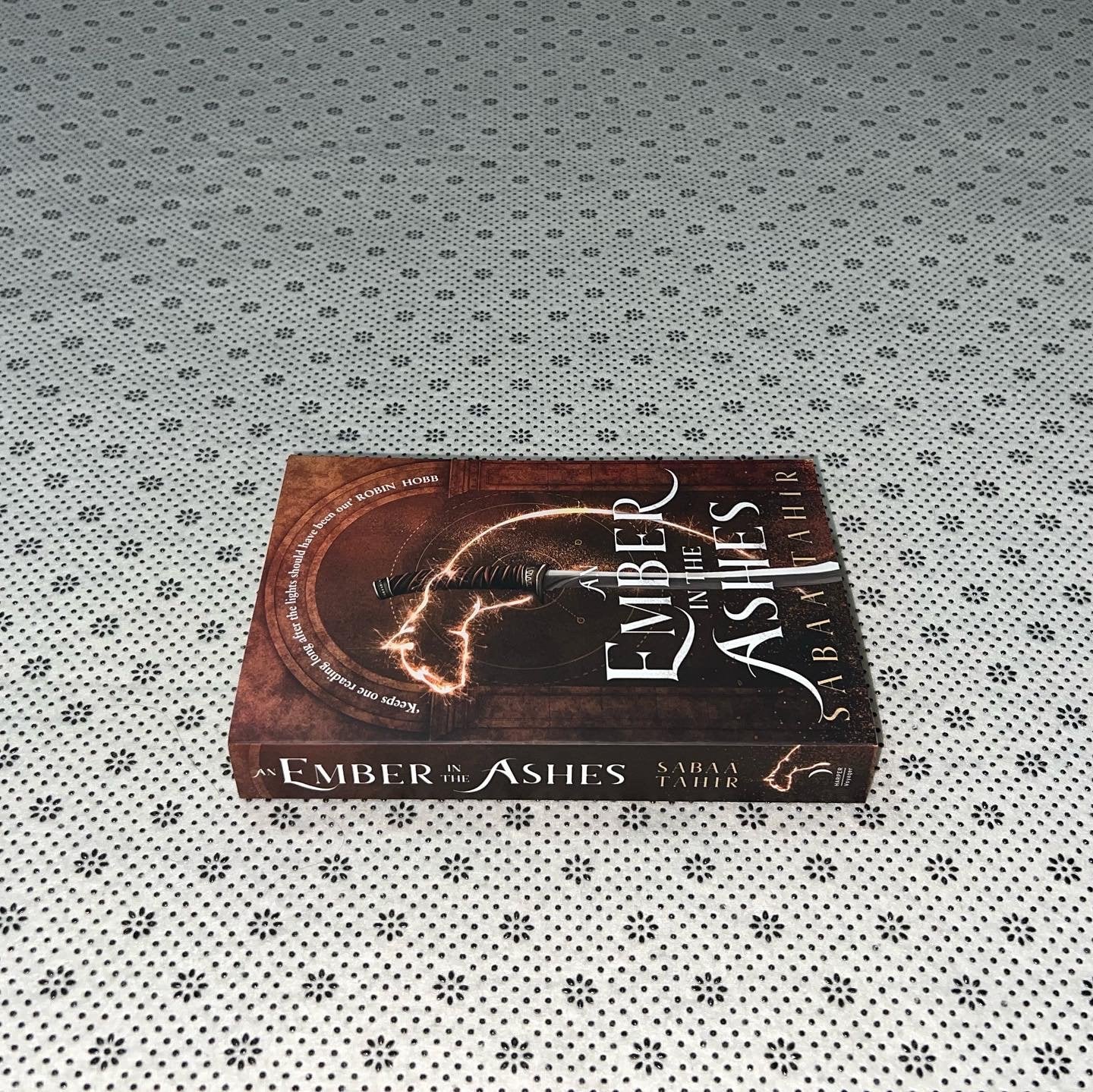 an ember in the ashes an ember in the ashes series book 1 by sabaa tahir