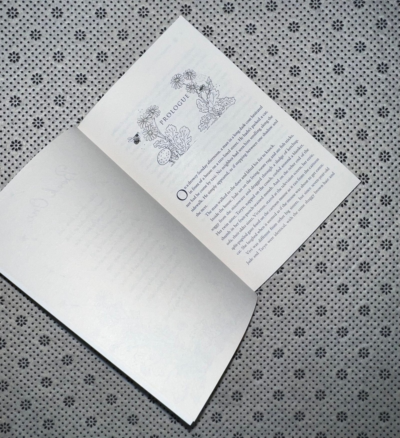 the cruel prince the folk of the air seriesbook 1 new york times bestseller by holly black
