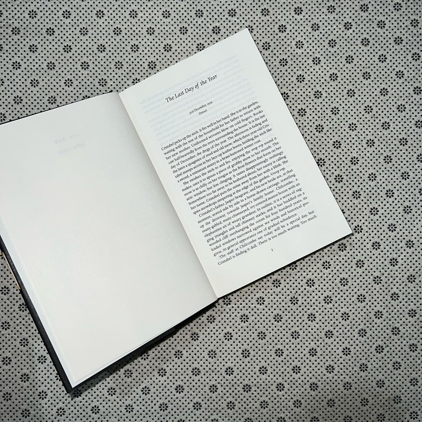 the whalebone theatre by joanna quinn