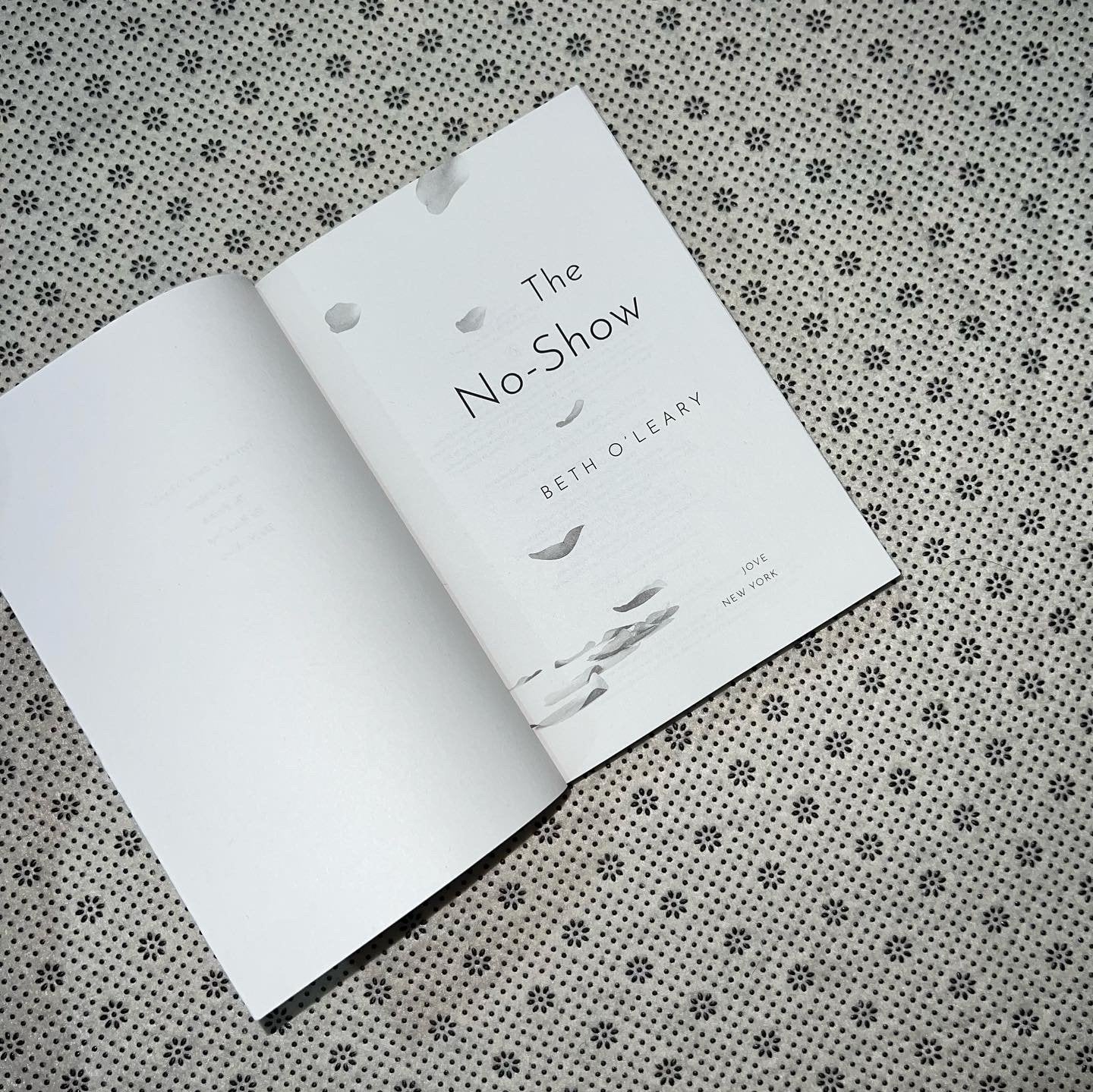 the no show by beth oleary