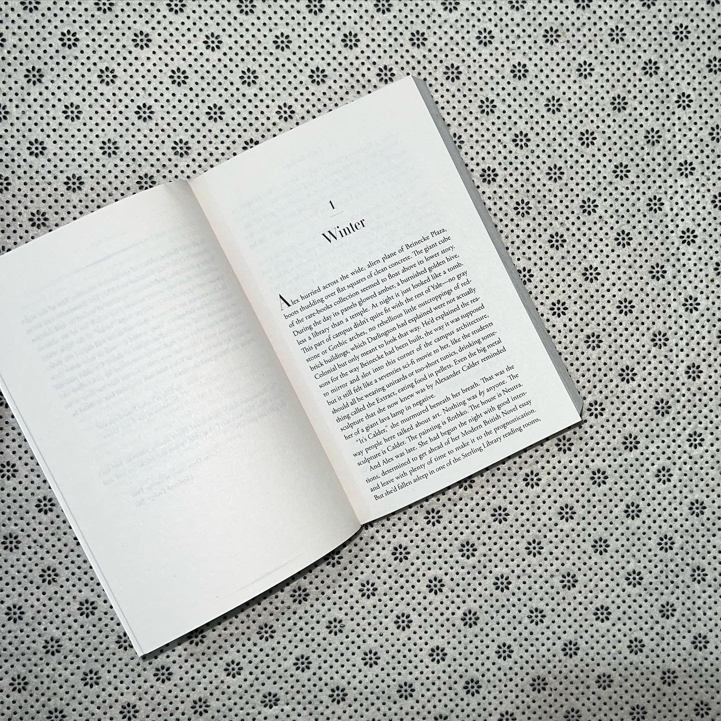 ninth house by leigh bardugo