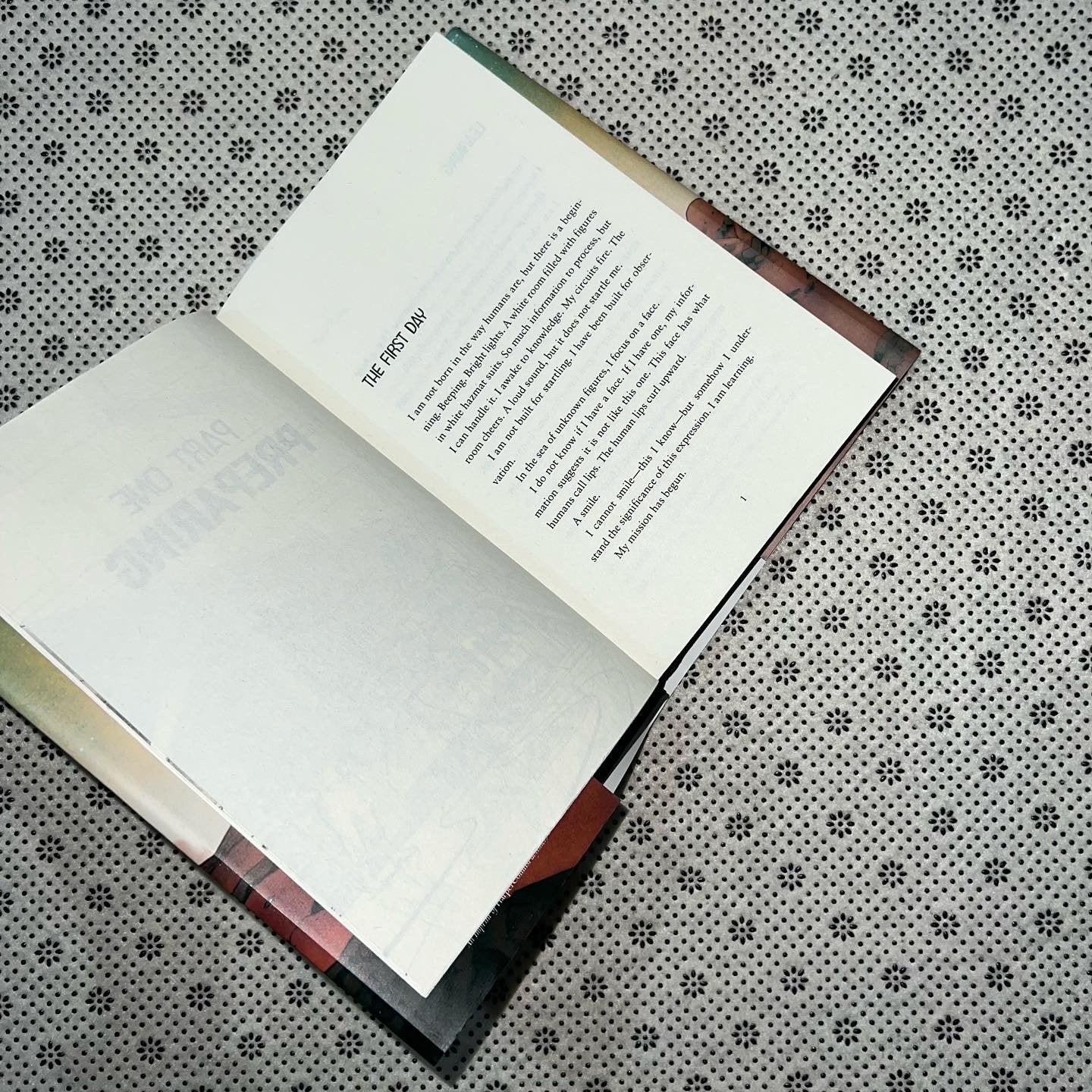 a rovers story by jasmine warga