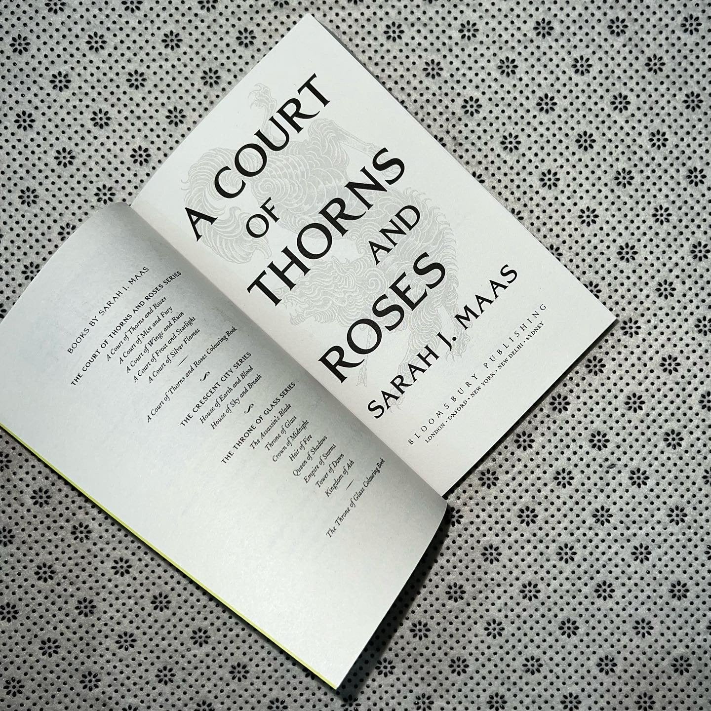a court of thorns and roses court of thorns and roses series book 1 by sarah j mass 1