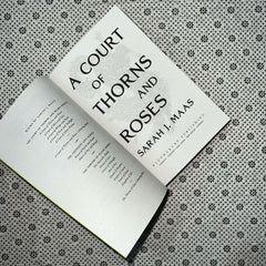 a court of thorns and roses court of thorns and roses series book 1 by sarah j mass 1