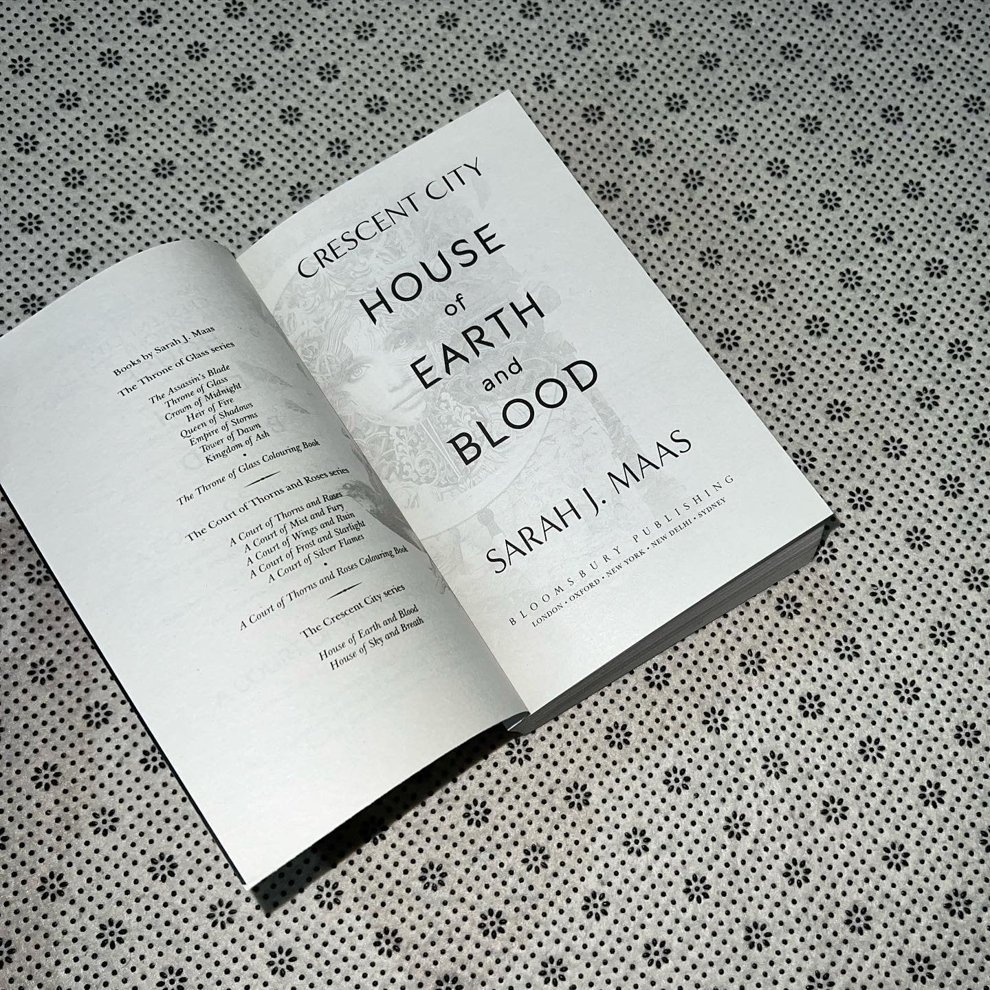 house of earth and blood crescent city book 1by sarah j mass