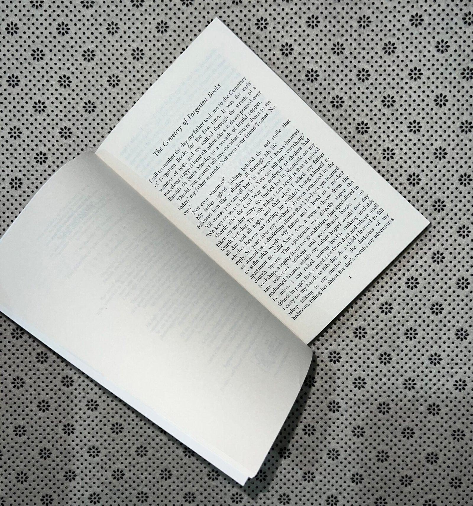 the shadow of the wind the cemetery of forgotten series book 1 by carlos ruiz zafon