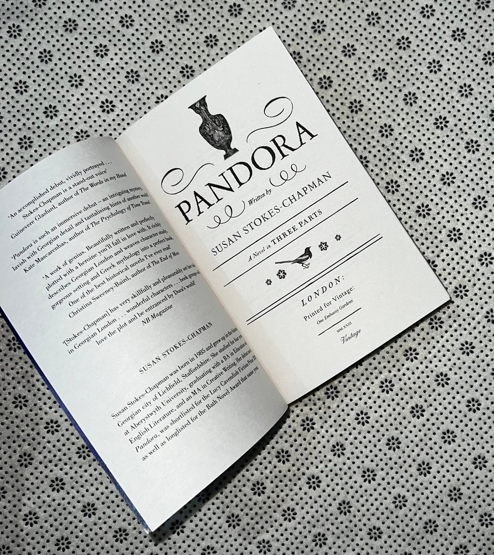 pandora by susan stokes chapman