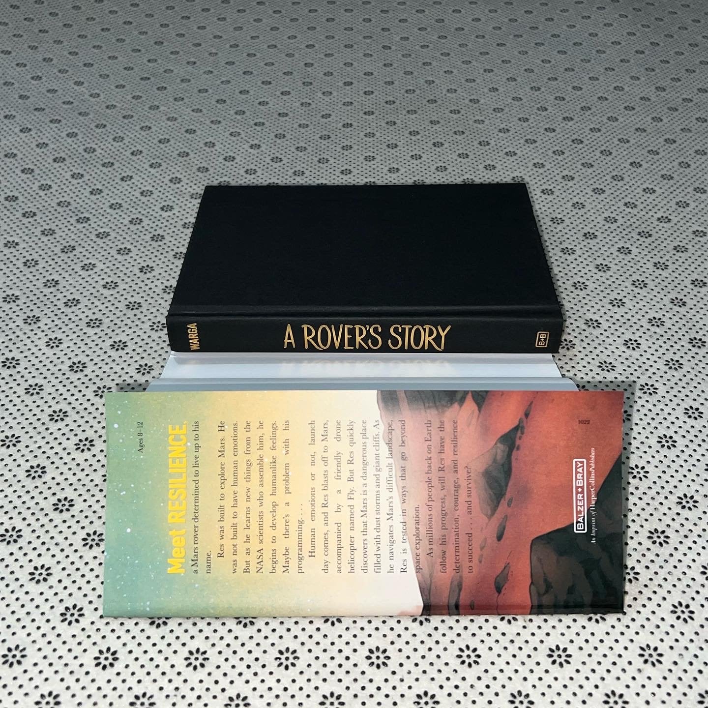 a rovers story by jasmine warga
