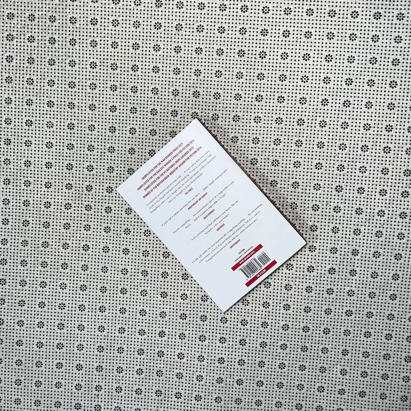 a little life by hanya yanagihara