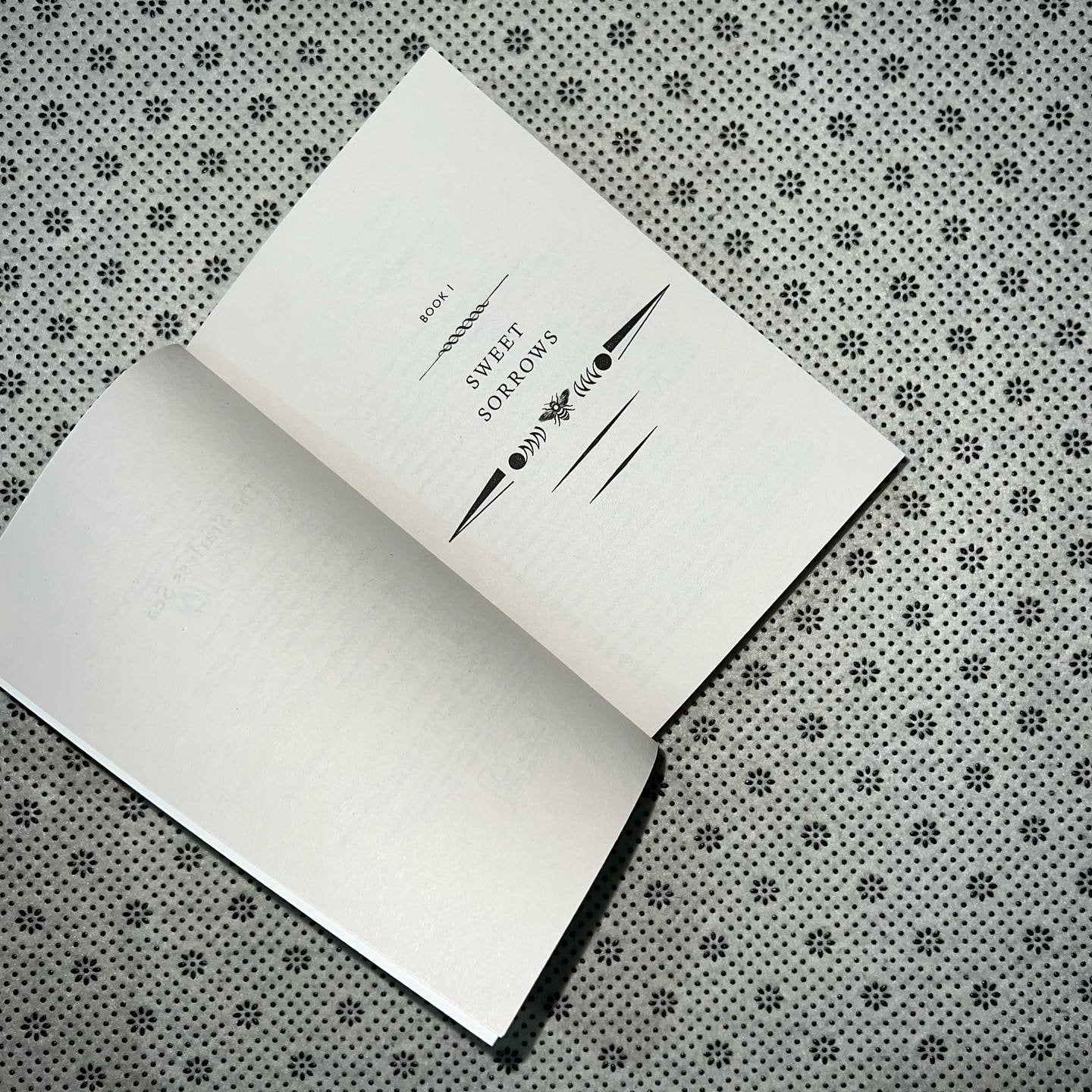 the starless sea by erin morgenstern 1