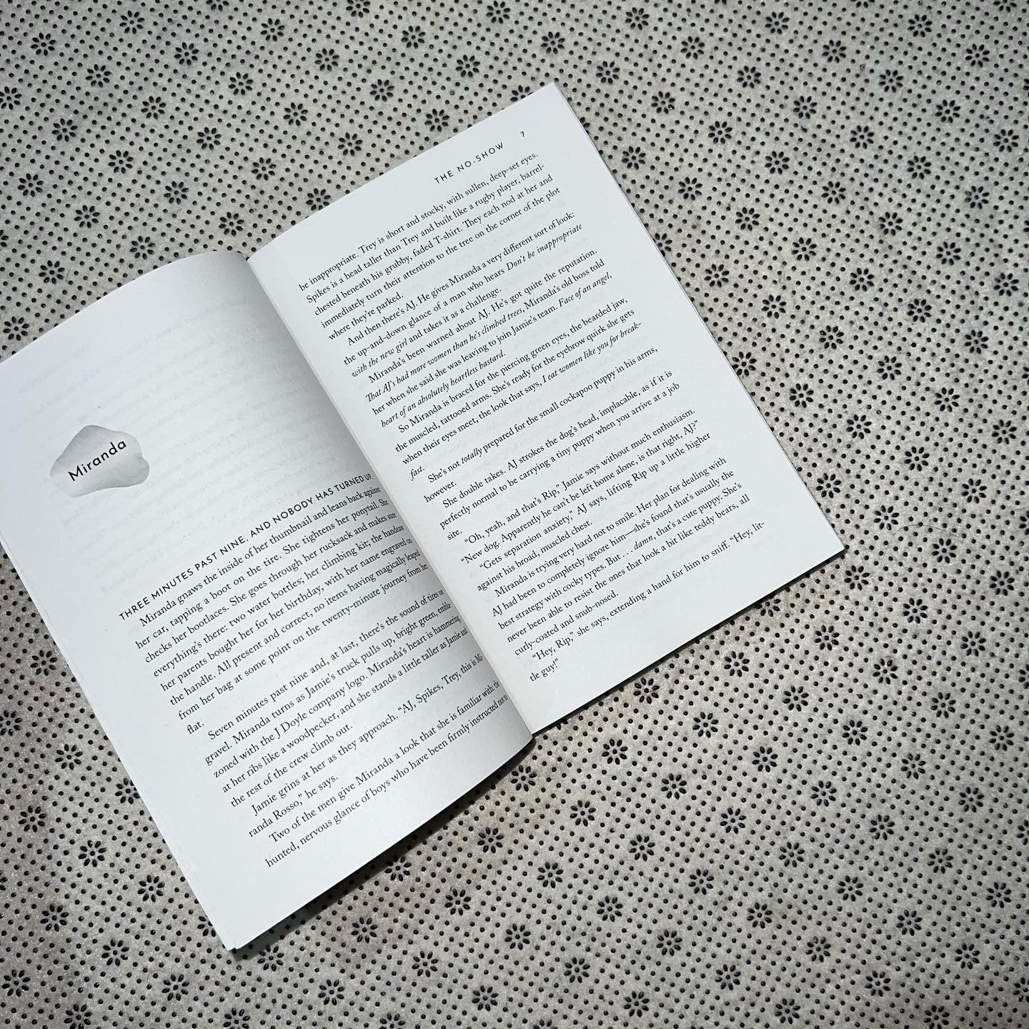 the no show by beth oleary